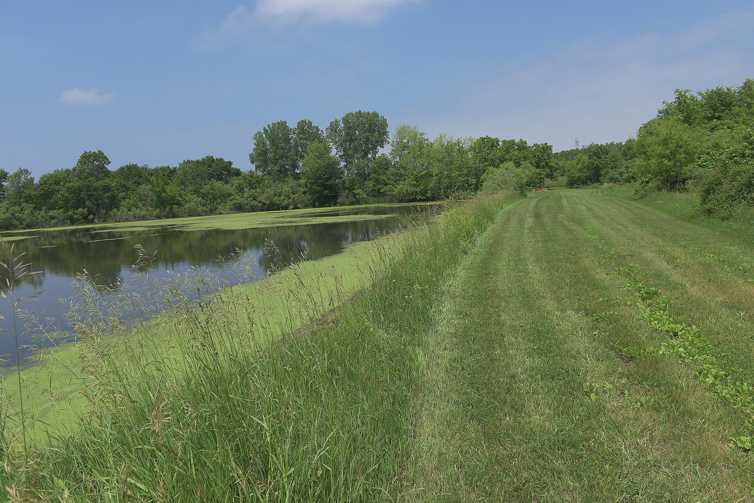 Pond on a farm in Lake County, Indiana - LAND AUCTION - 147+/- ACRES OFFERED IN 3 TRACTS IN LAKE COUNTY, INDIANA